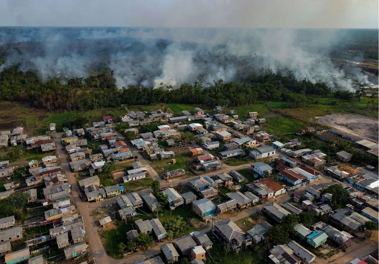 Over 2,700 Wildfires Reported in the Amazon in the First 11 Days of October