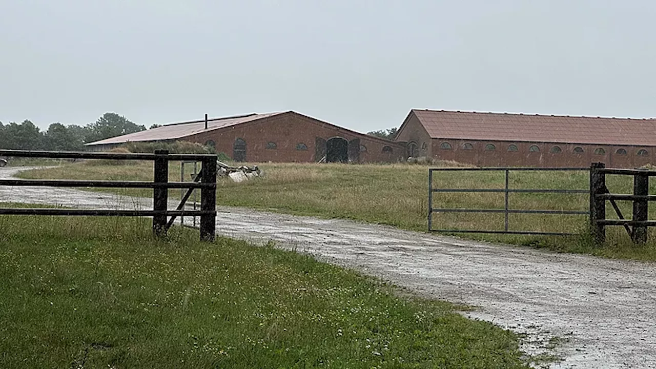 Dokumenter afslører: Så mange millioner skylder Viegård Stutteri