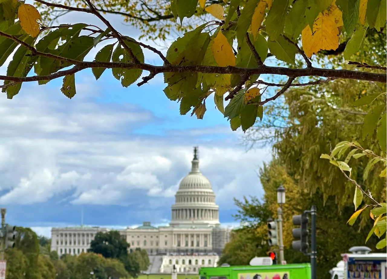 D.C.-area forecast: Maybe a shower today, but otherwise a nice autumn workweek