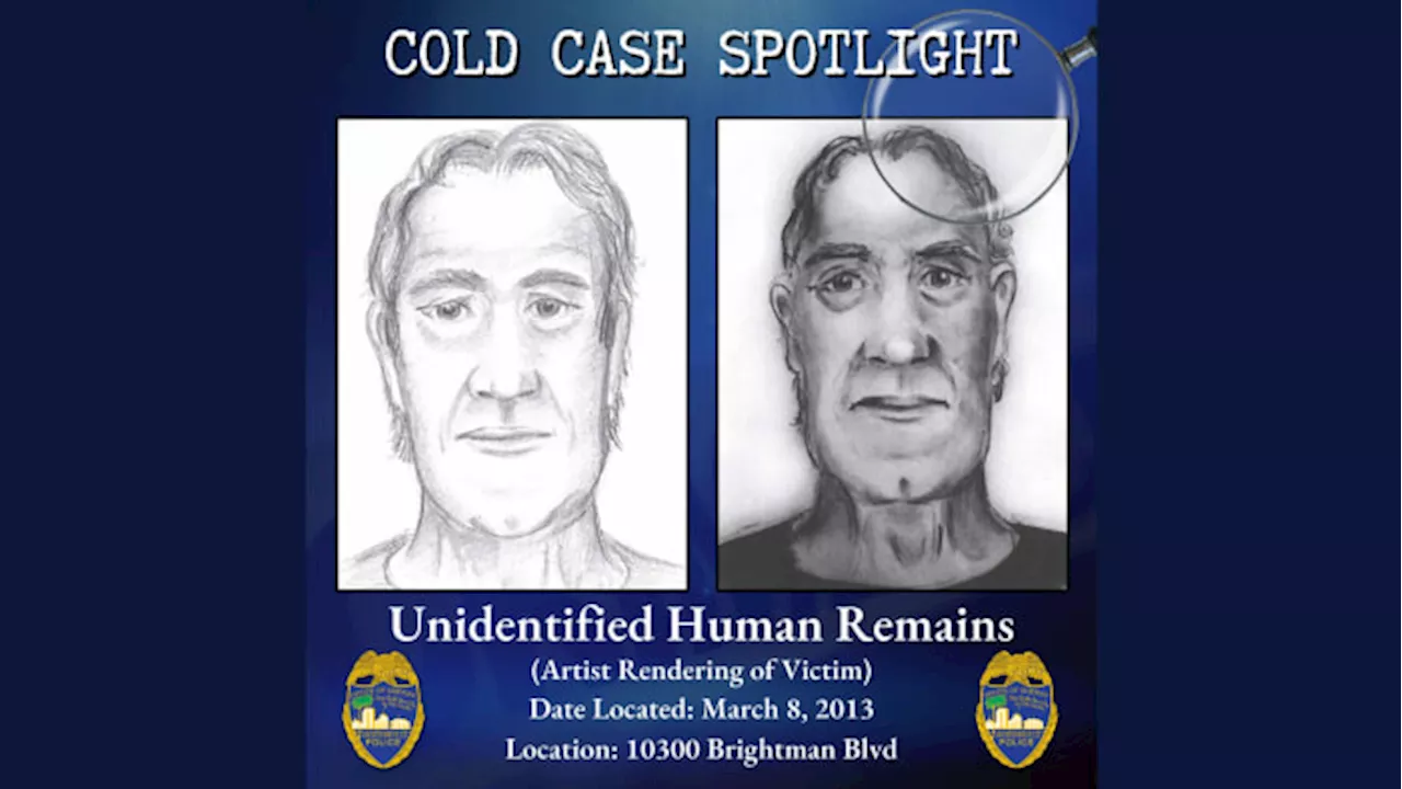 Cold Case Spotlight: JSO asks for help to ID human remains found 10 years ago