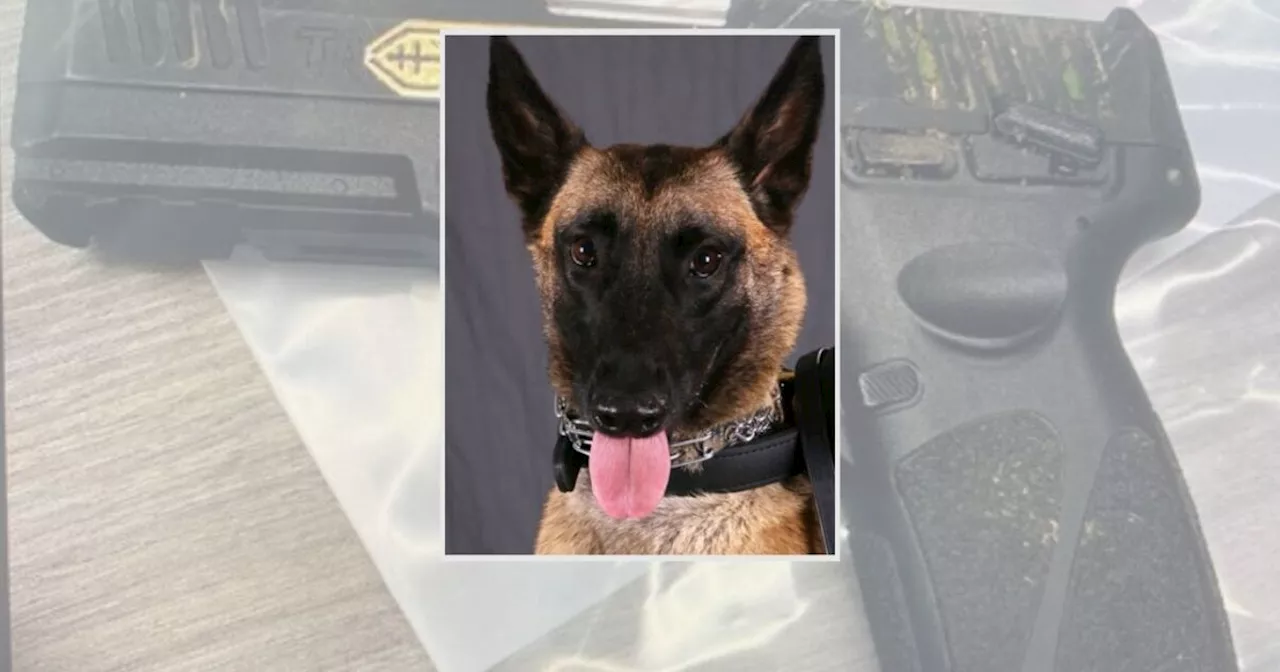 ISP K-9 credited with stopping impaired suspect in Muncie