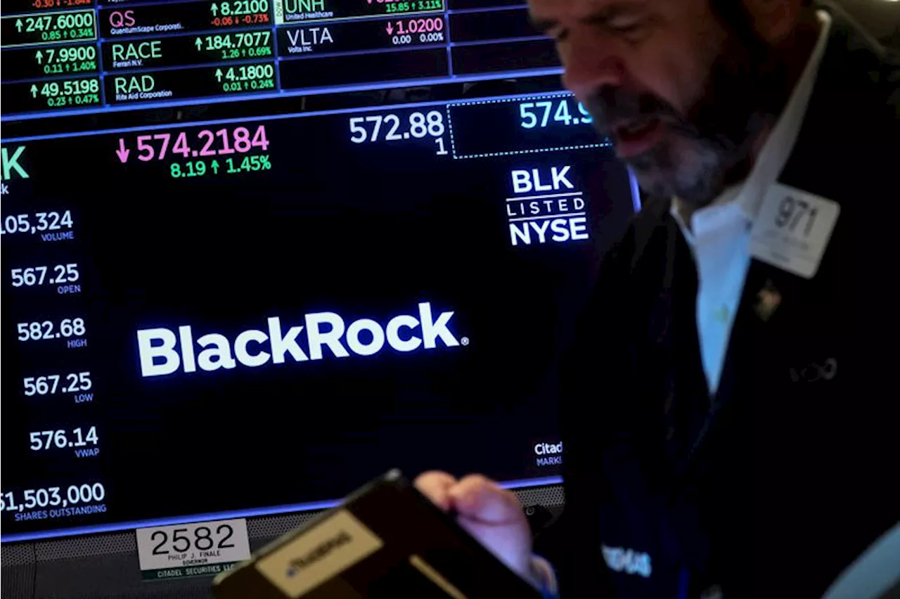 Long US Treasury yields may rise further despite near-term swings, BlackRock says