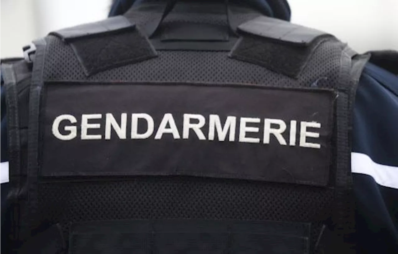 Loiret : Il blesse un gendarme et se cache dans un buisson