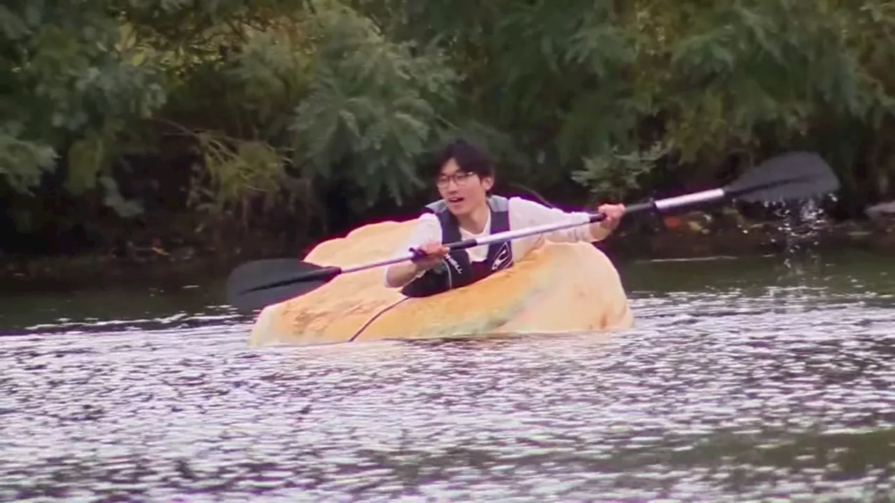 Harvard student crosses river in giant pumpkin, raises money for bio-engineering lab: 'So much fun'