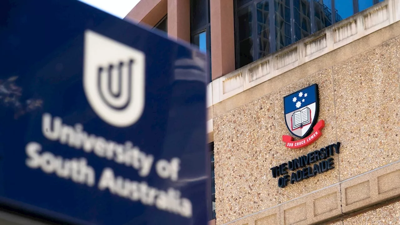 Adelaide university merger would be in SA's 'economic and social interests', report finds