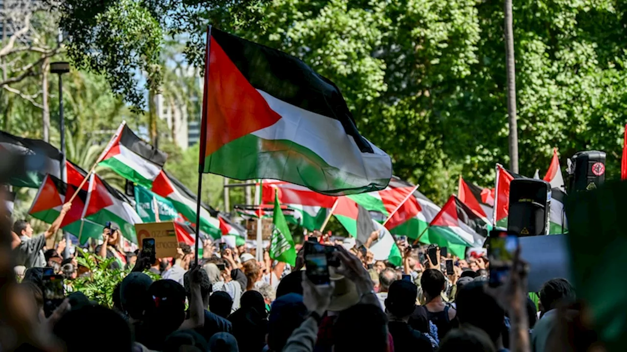 Man charged over use of offensive language at Sydney pro-Palestinian rally last weekend