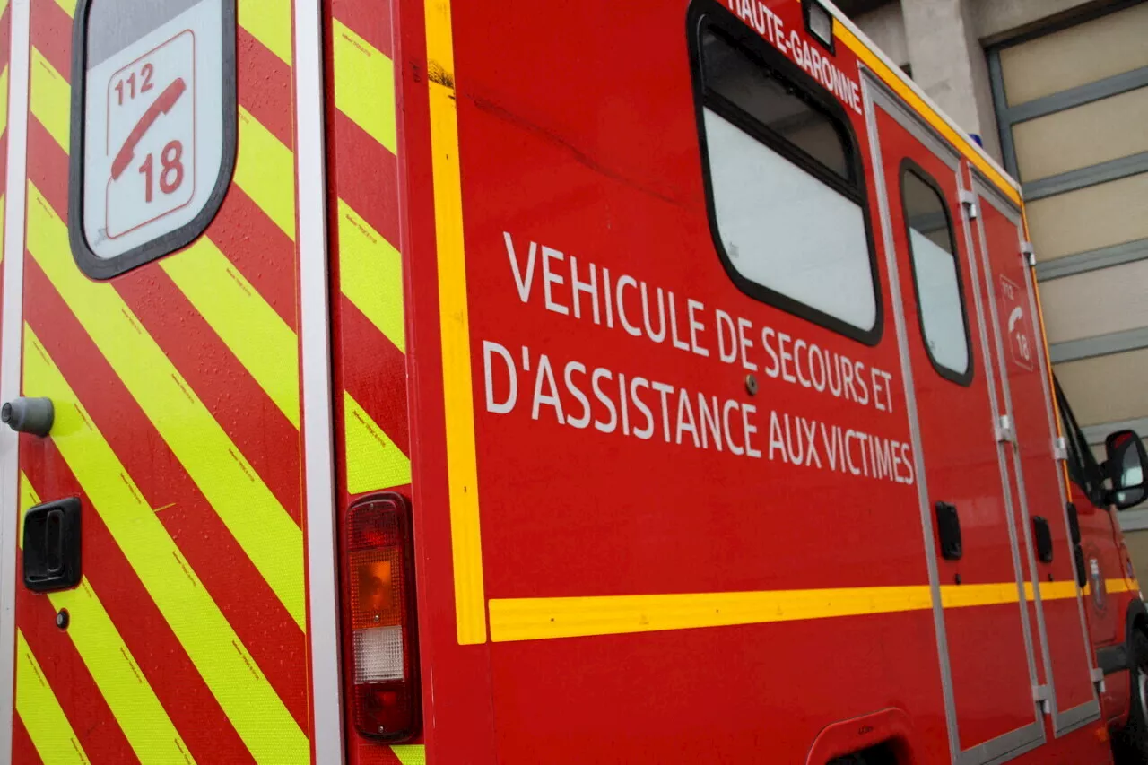 Une femme transportée à l'hôpital en urgence après une piqûre de guêpe dans l'Oise