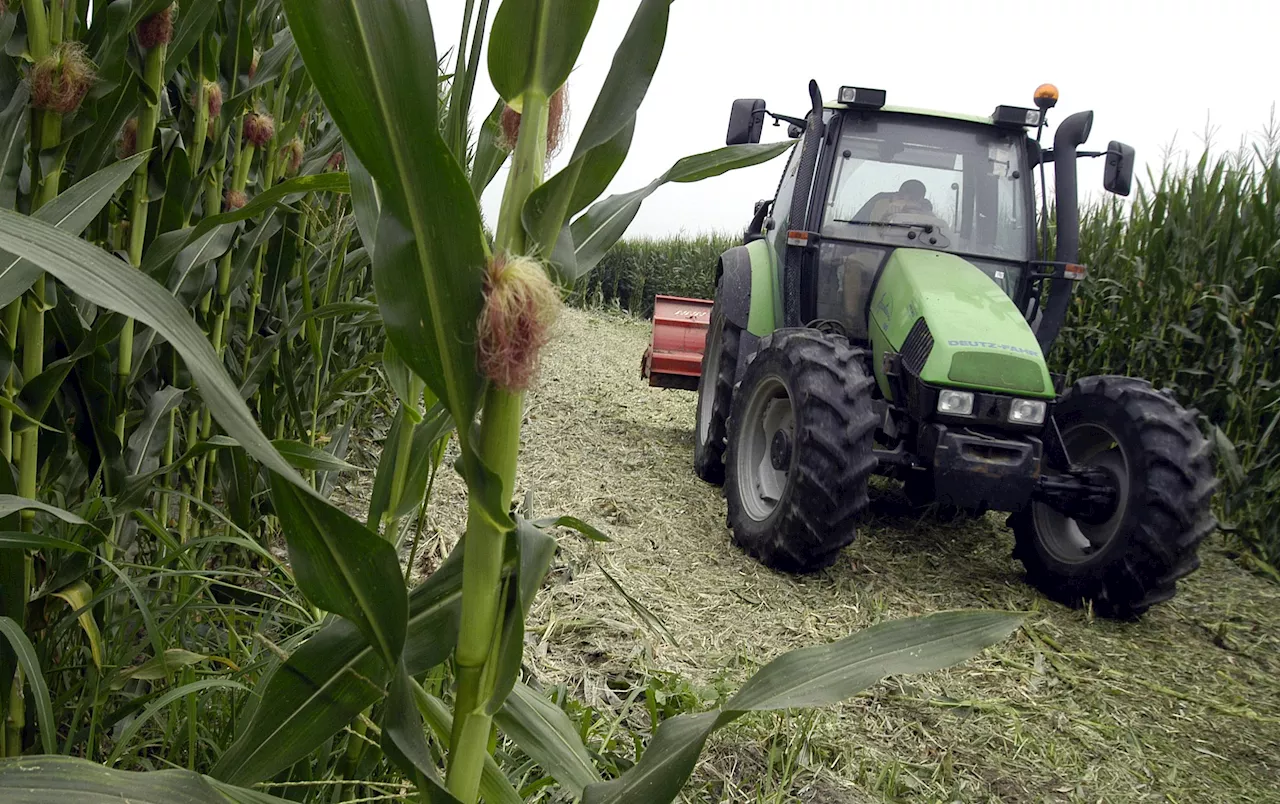 Piovan, 'da agricoltura arriva tutto ciò che serve per 'fare' cibo'