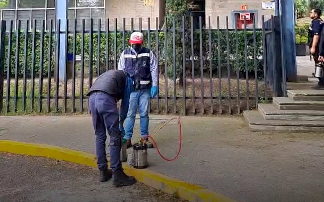 Hasta el viernes reanudarán clases en la FES Acatlán tras infestación por chinches