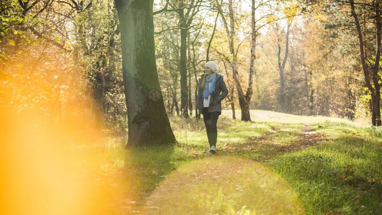 Trübe Stimmung auch im Gemüt: Wie entkommen wir dem Herbstblues?