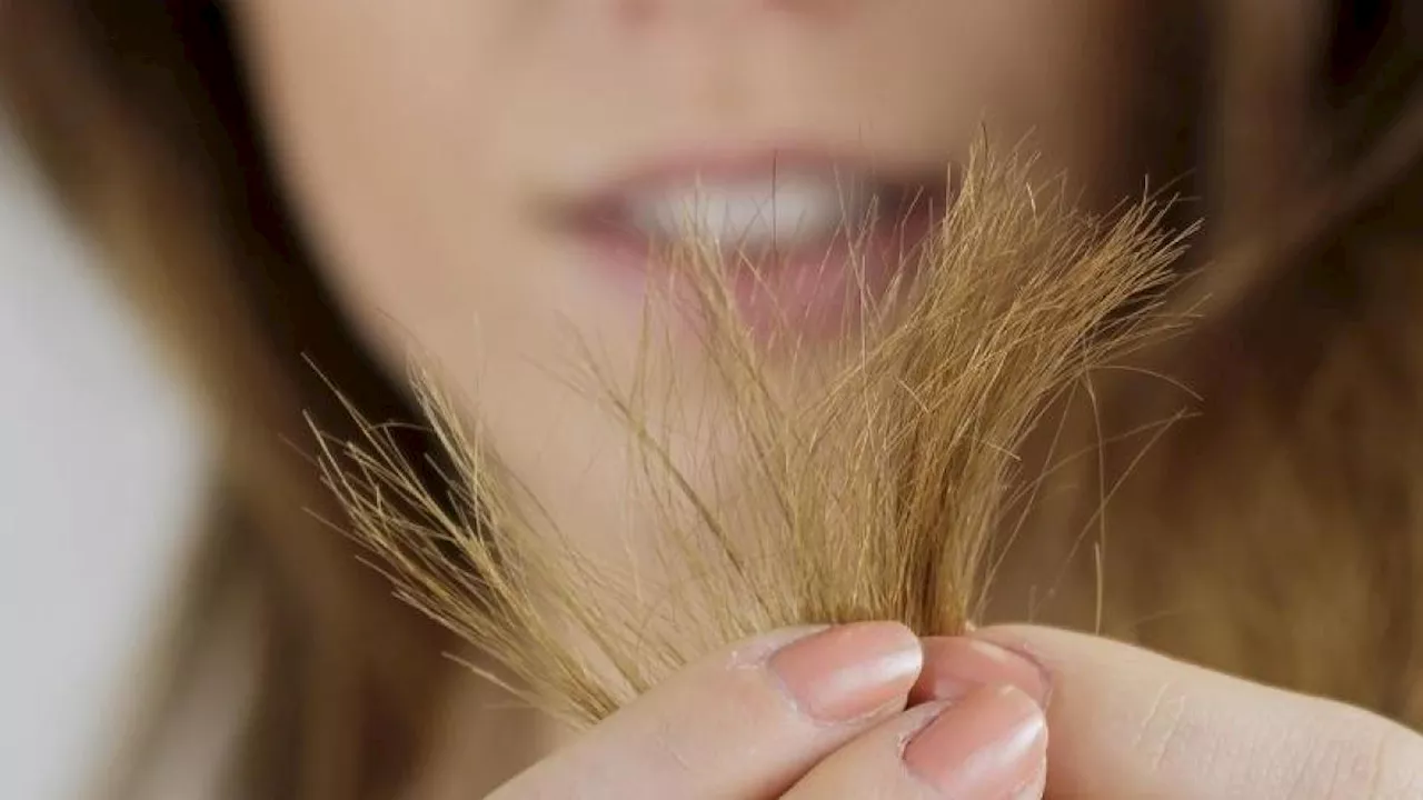 Weltrekord: Das sind die längsten Haare der Welt