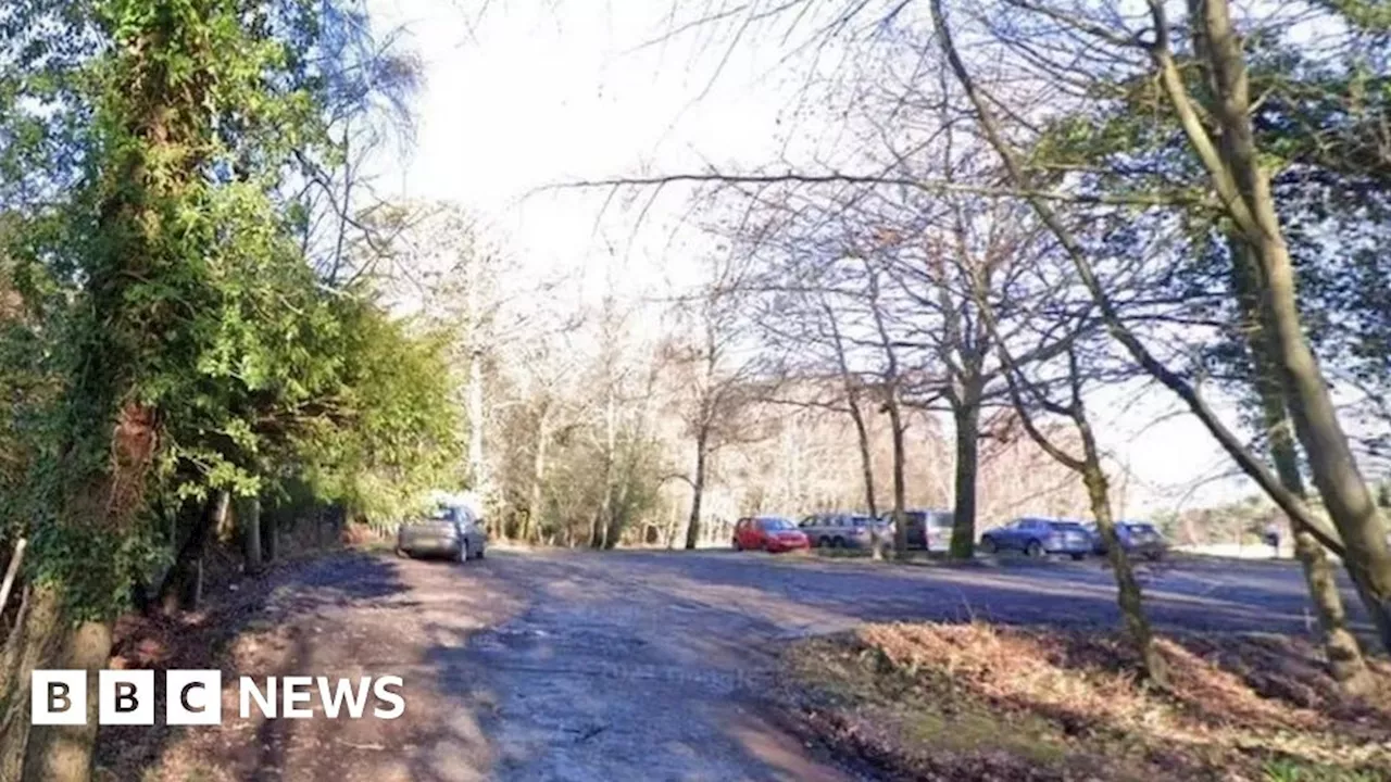 Ashdown Forest: Signs vandalised at car parks