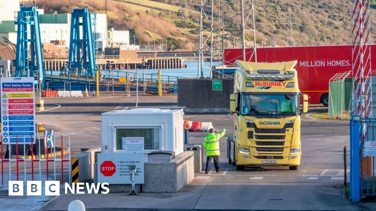 Northern Ireland vets' strike action 'will disrupt checks at ports'