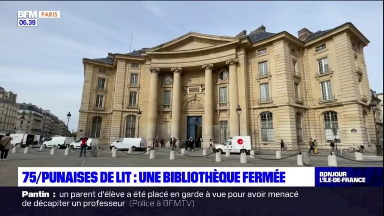 Punaises de lit: la bibliothèque universitaire Cujas de Paris fermée pour désinfection