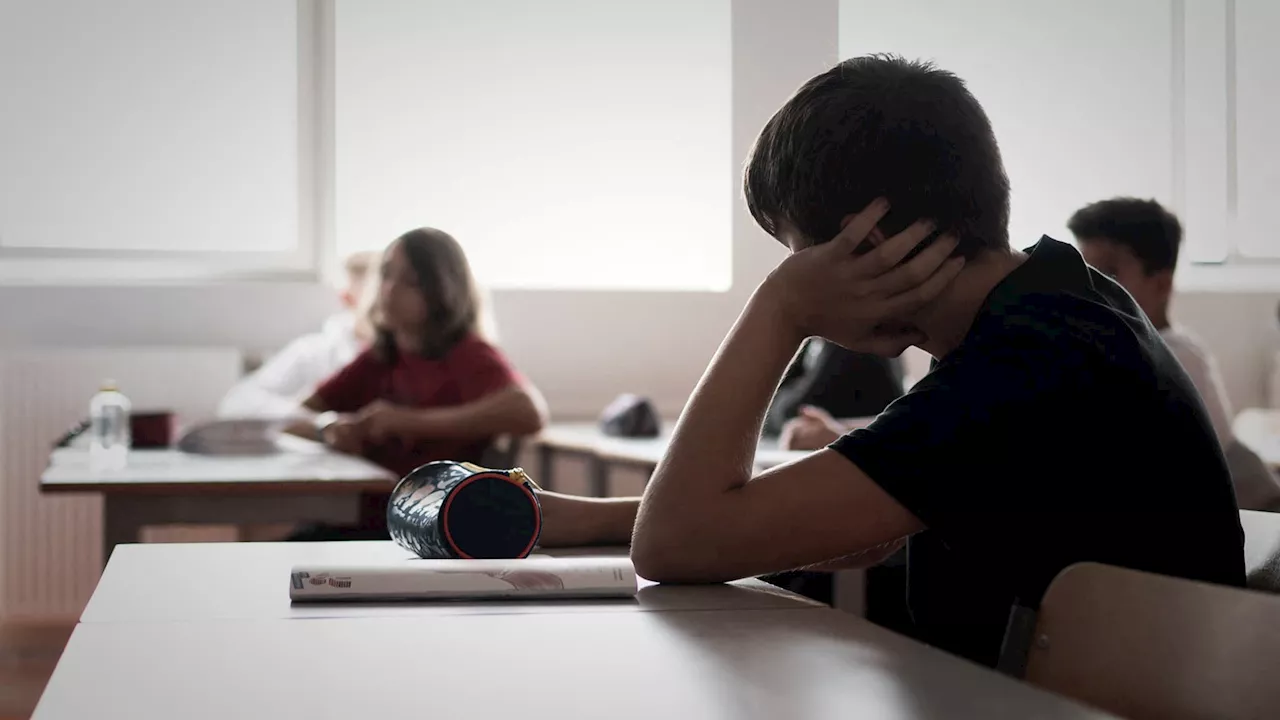 Rhône: la sécurité des établissements scolaires relevée au 'maximum'