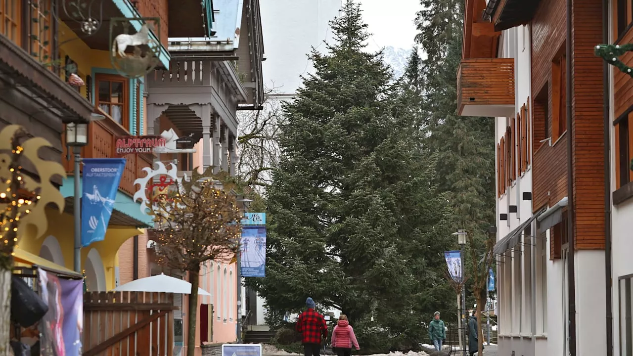 Bund der Steuerzahler kritisiert: Dieser Christbaum kostete 25 000 Euro