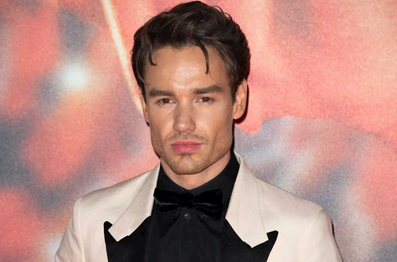 Liam Payne Banned From Driving in UK After Speeding Conviction