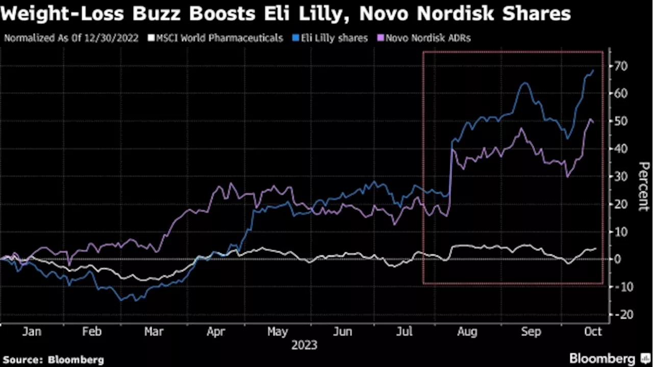 Obesity Drugs Are a Potential $100 Billion Opportunity by 2030, Goldman Sachs Analysts Say