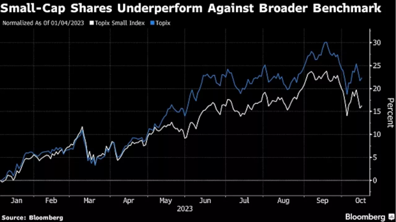 Top Japan Fund Bets English Disclosure to Lift Small-Cap Shares