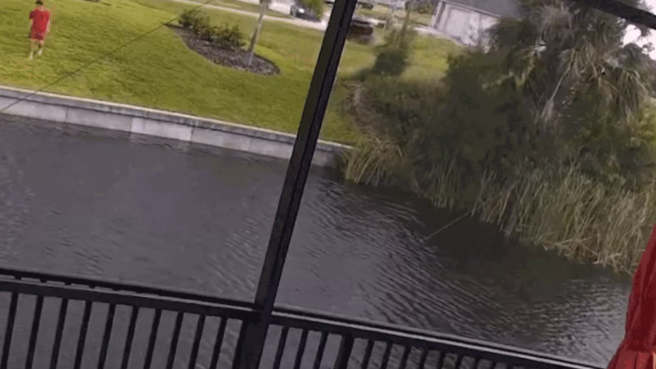 Yee-haw! Dodge Challenger Takes Flight And Sinks Into Florida Canal