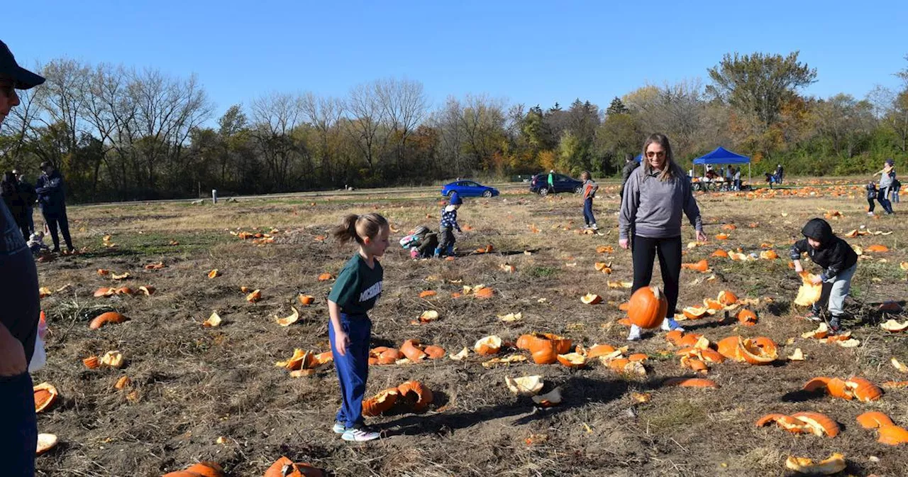 Naperville News Digest: Halloween Happening, Pumpkin Smash dates set; Naperville group holding interfaith solidarity event Sunday