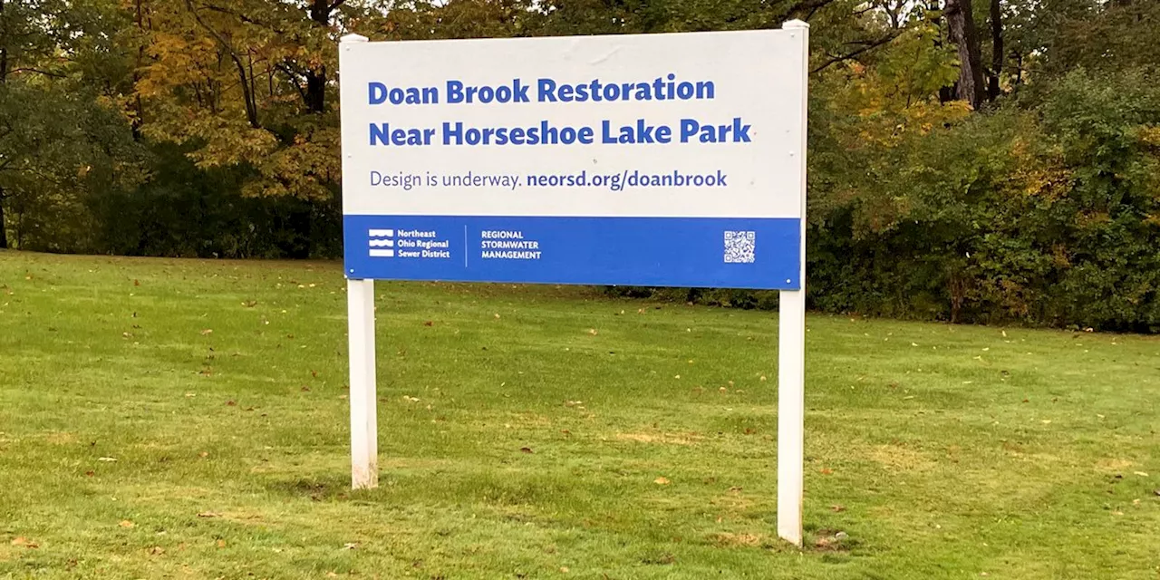 Friends of Horseshoe Lake vow to continue to fight for the lake despite a series of setbacks