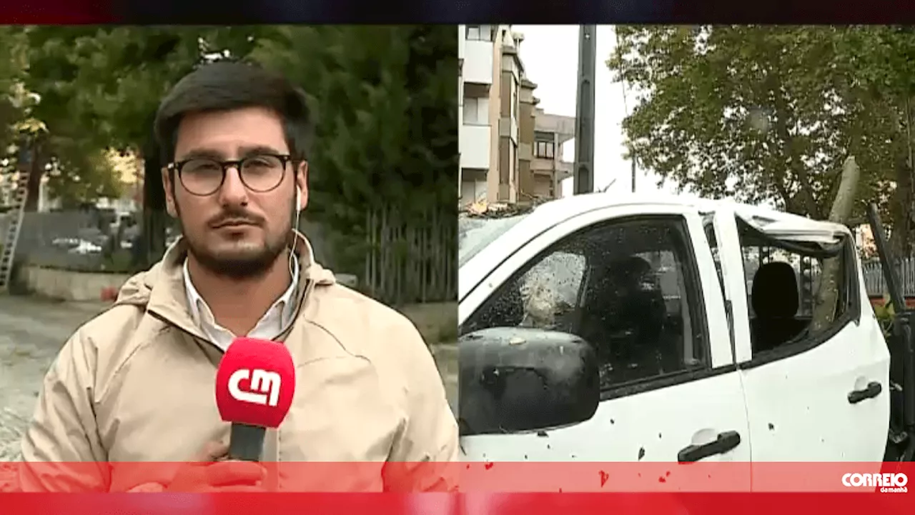 Queda de ramo em Matosinhos causa feridos