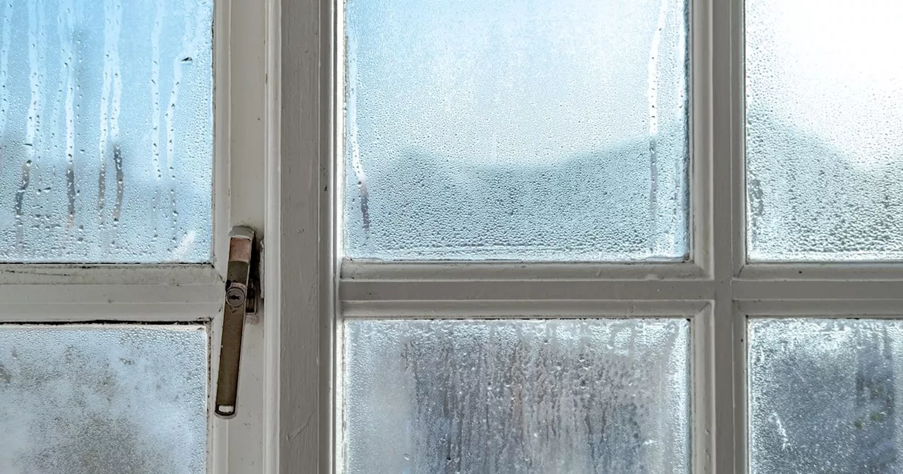 Home expert's simple window condensation trick to get rid of damp in morning