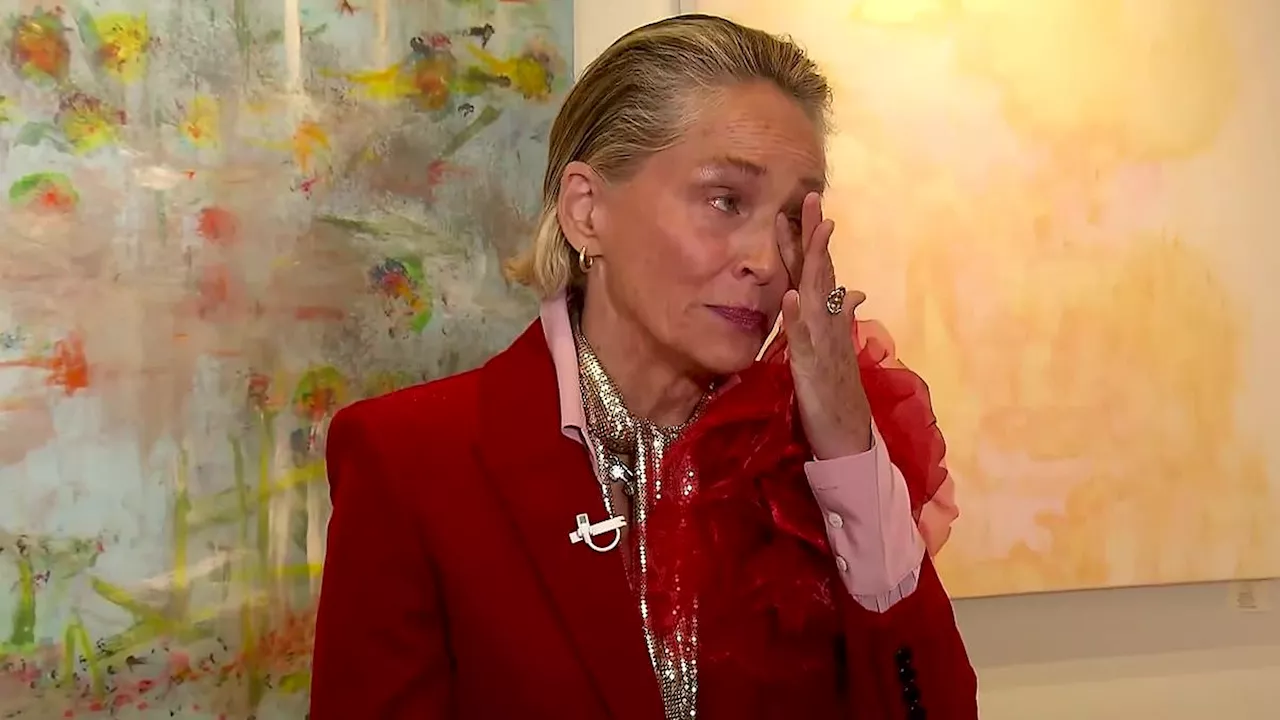 Sharon Stone breaks down in tears discussing her painting of Jerusalem amid Israeli-Palestinian...