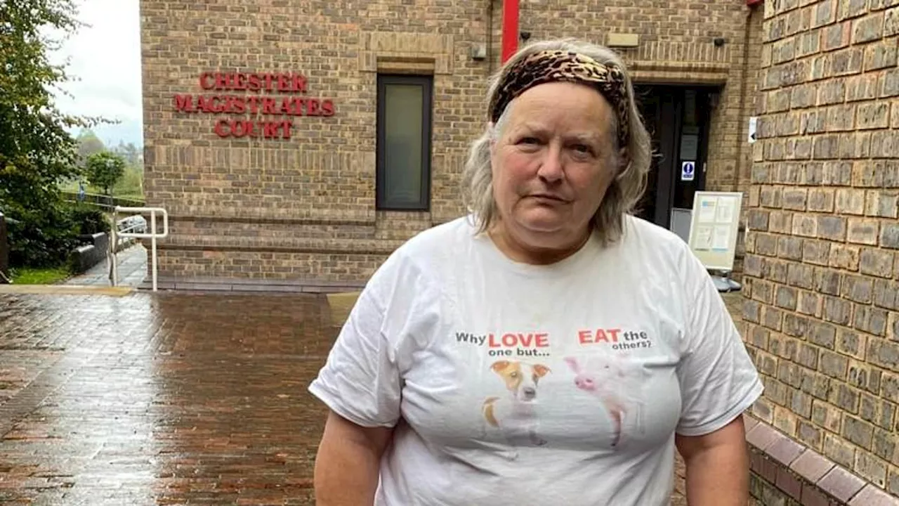 Ex-accountant, 64, who blocked neighbour's driveway with foam in YouTube hate campaign over...