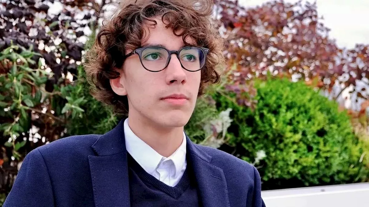 High-achieving pupil, 17, was stripped of his maths GCSE after exam question he found online during...