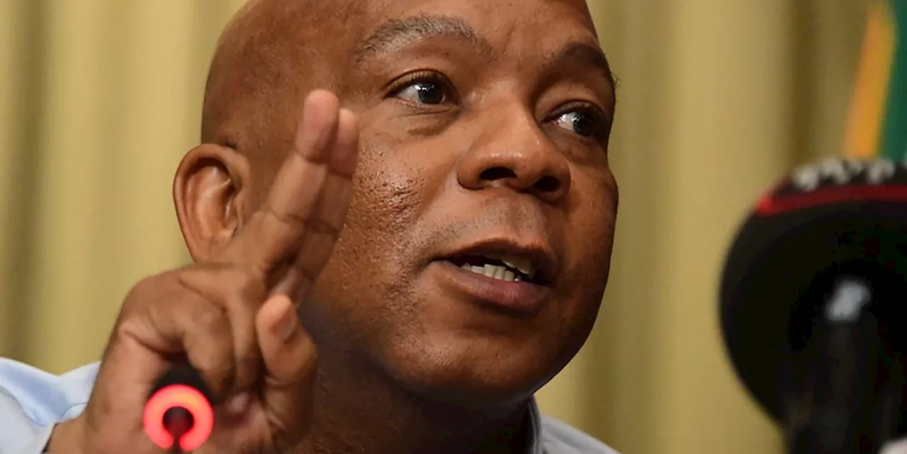 End of load shedding ‘in sight’, says electricity minister after another Kusile unit comes back on stream