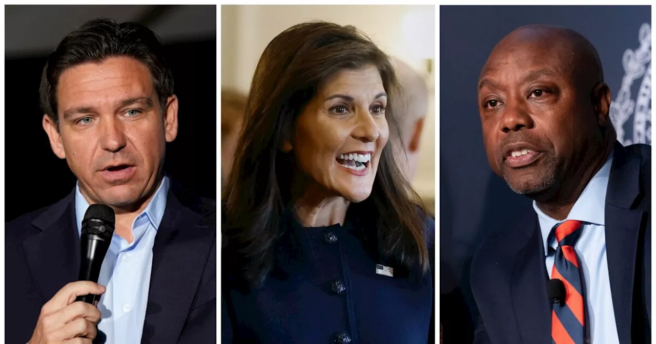 New 'moderate' line of attack emerges against Nikki Haley amid polling surge