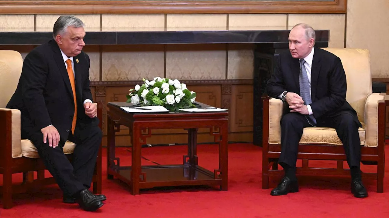 Seidenstraßen-Gipfel in China: Putin trifft ungarischen Regierungschef Orbán