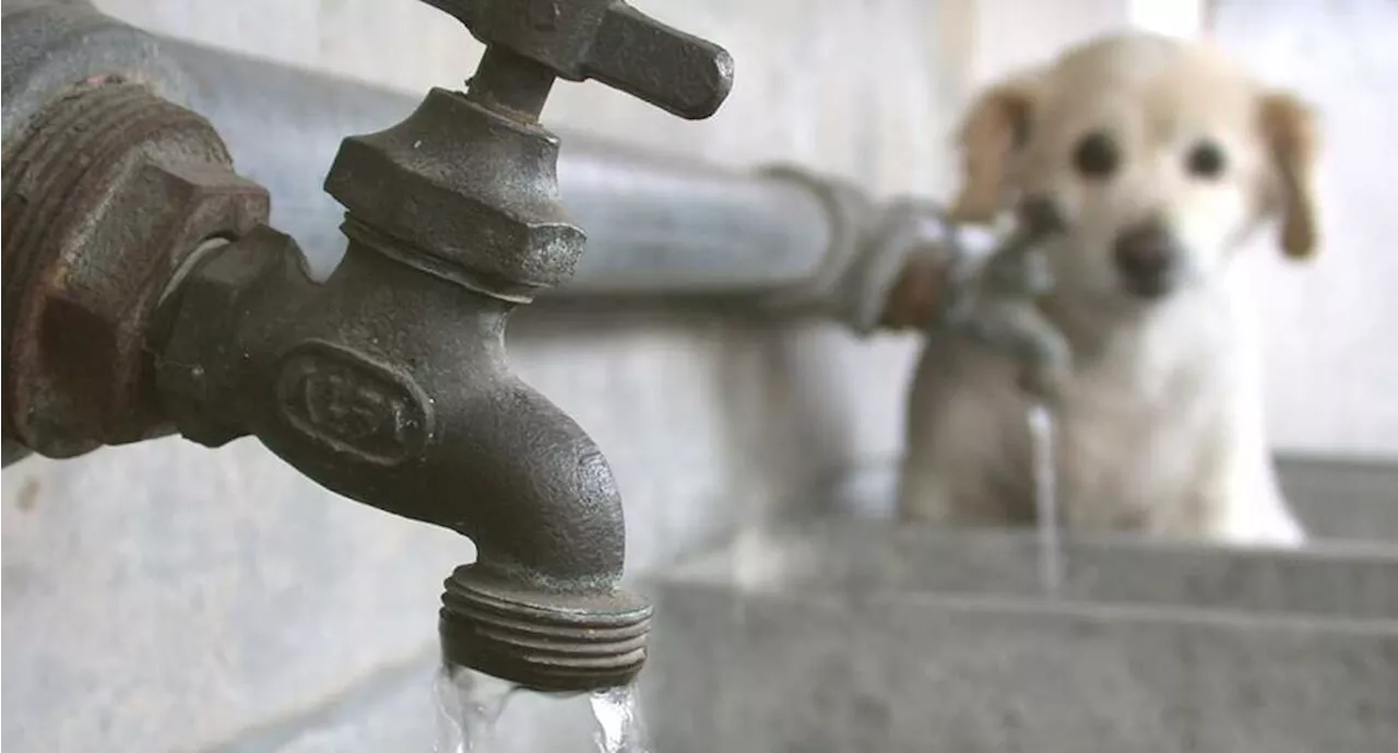 ¡Saca las cubetas! Habrá reducción en entrega de agua potable en Edomex