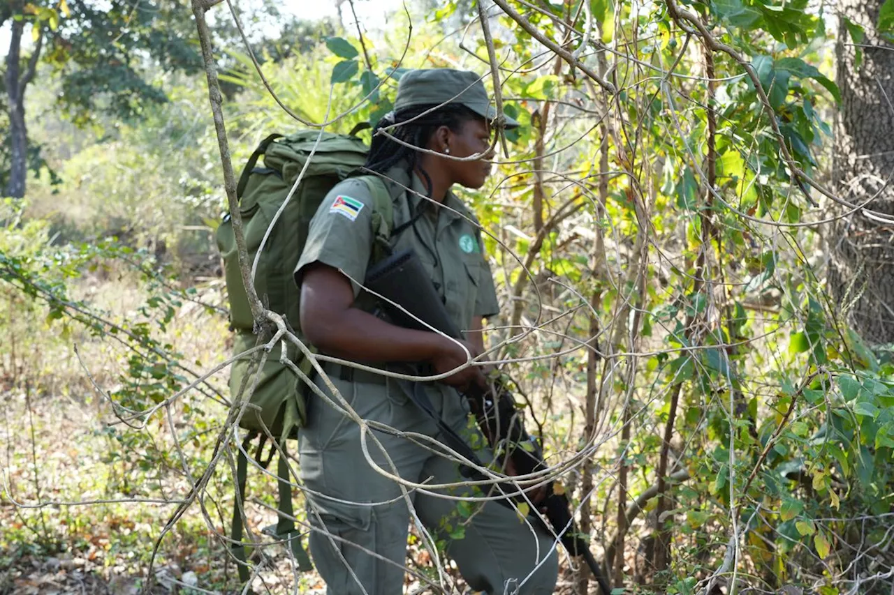 El parque natural en Mozambique que renace gracias al trabajo de las científicas y las guardas forestales