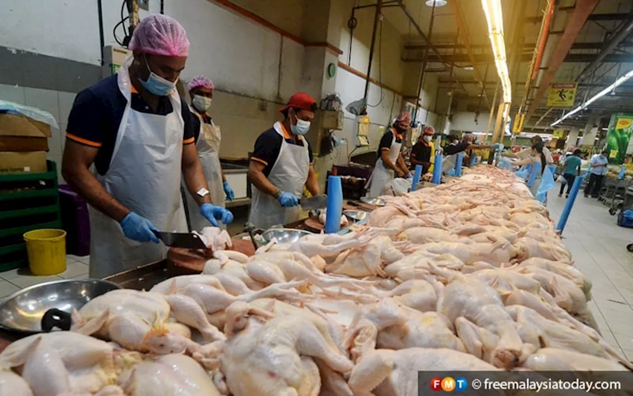 ‘Ada kenaikan tetapi tak ketara’, kata penternak selepas harga ayam diapungkan