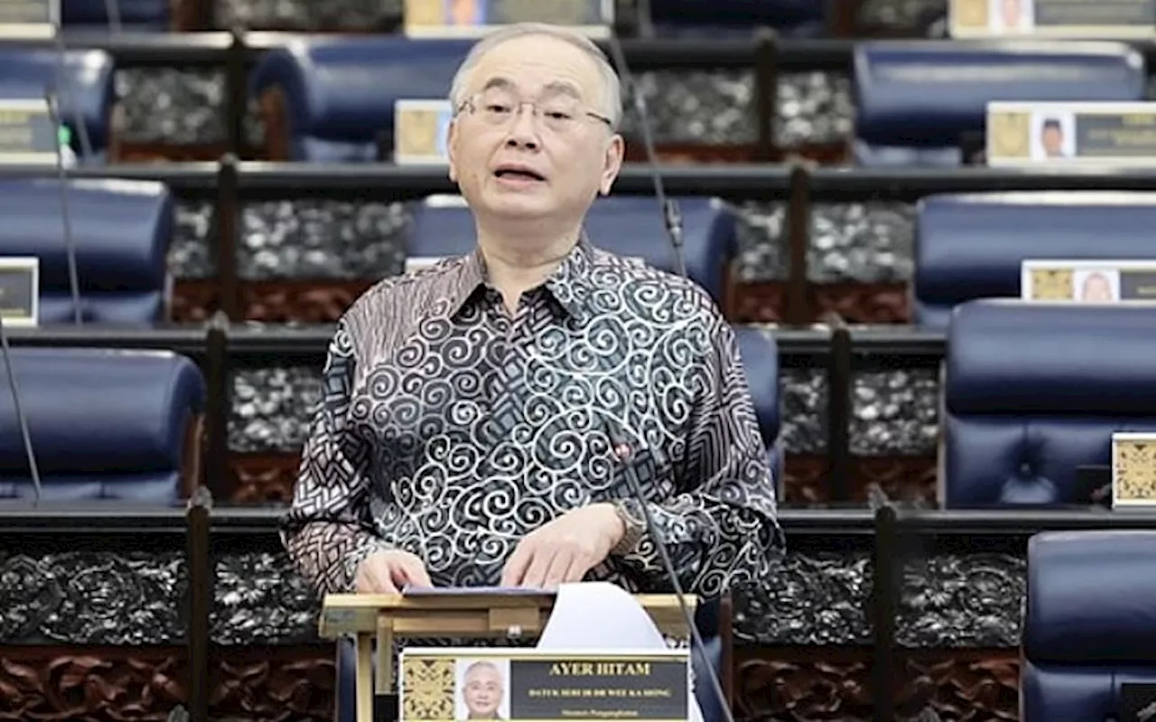 Mansuh GST punca cukai korporat tinggi, syarikat asing ‘lari’, kata Wee