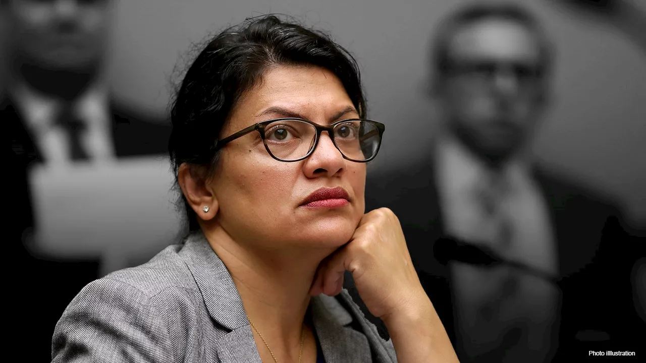 Rashida Tlaib’s top campaign fundraiser accuses Israel of wanting to ethnically ‘cleanse’ Palestinians