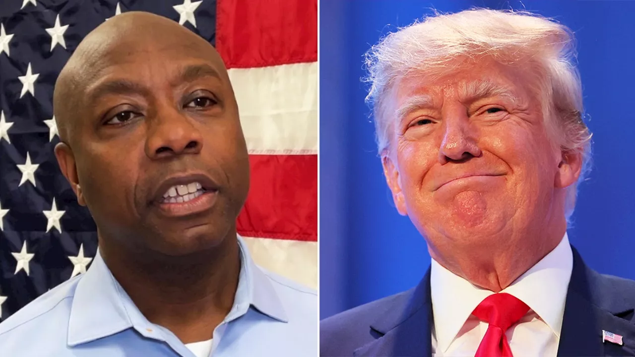 Tim Scott responds to Trump’s criticism of Israel PM Netanyahu: ‘Terrible and not helpful’