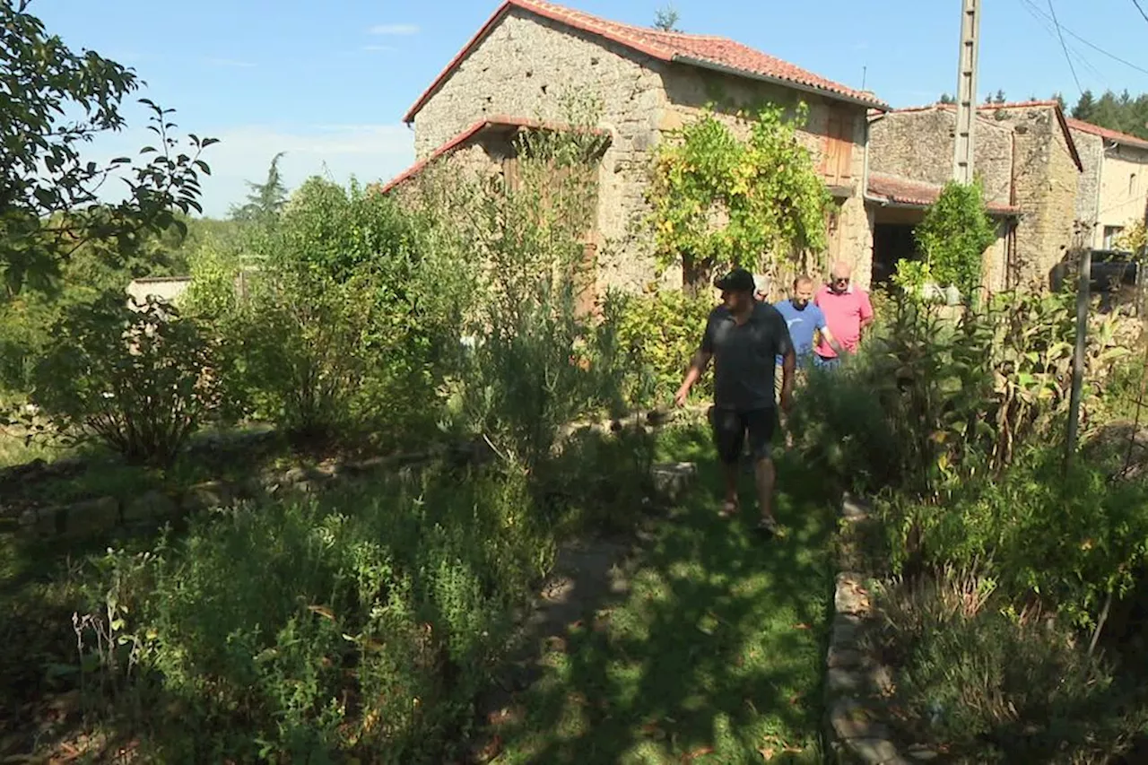 VIDÉO. Un jardin extraordinaire composé de trois cents espèces de plantes médicinales