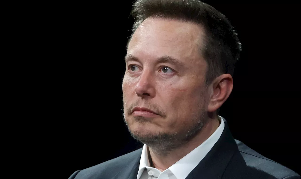 Elon Musk Signals Support for Militant Socialist