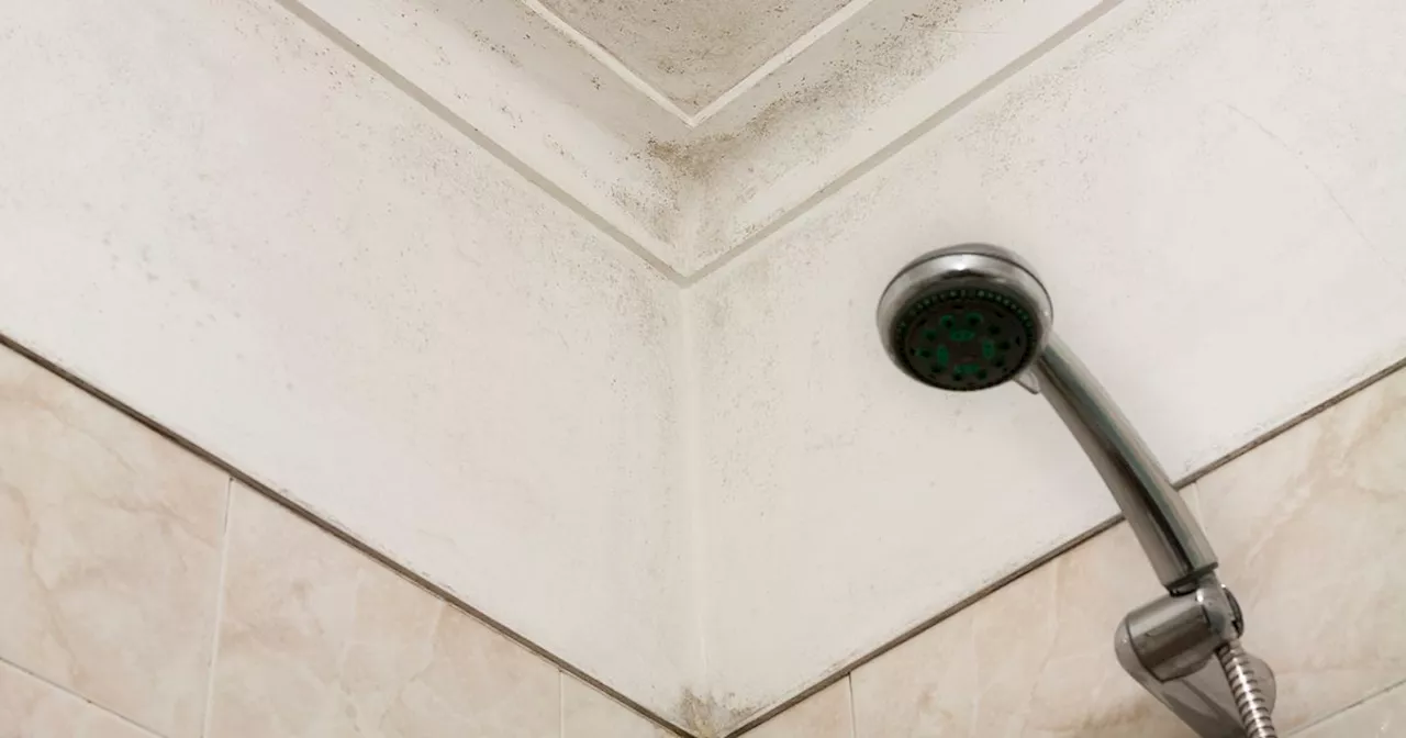 Shoppers praise spray that makes bathroom mould 'disappear like magic'