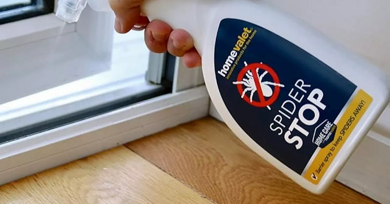 The £9 Amazon spray that stops spiders from coming into your home