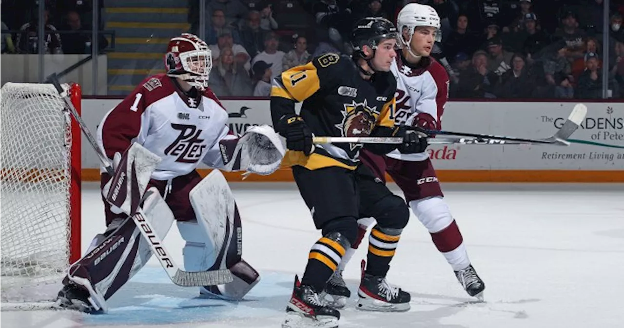 OHL issues fines, suspensions for brawl between Peterborough Petes, Brantford Bulldogs