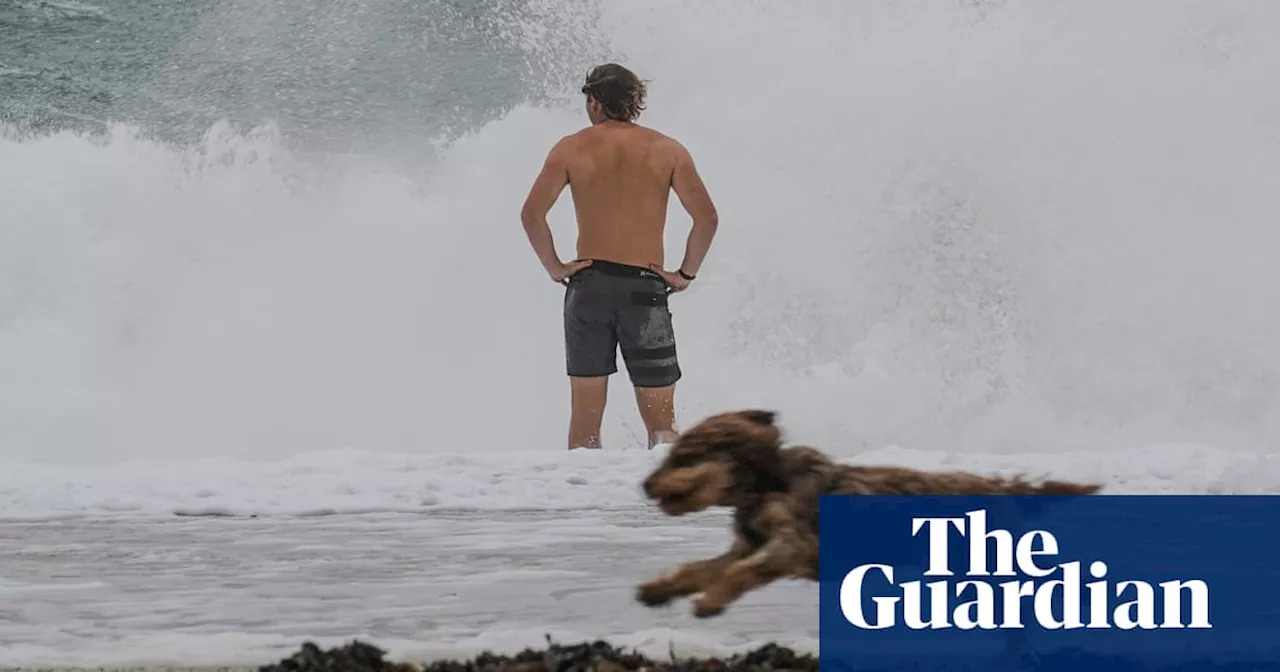 Rough Seas and a Putin-Orbán handshake: photos of the day