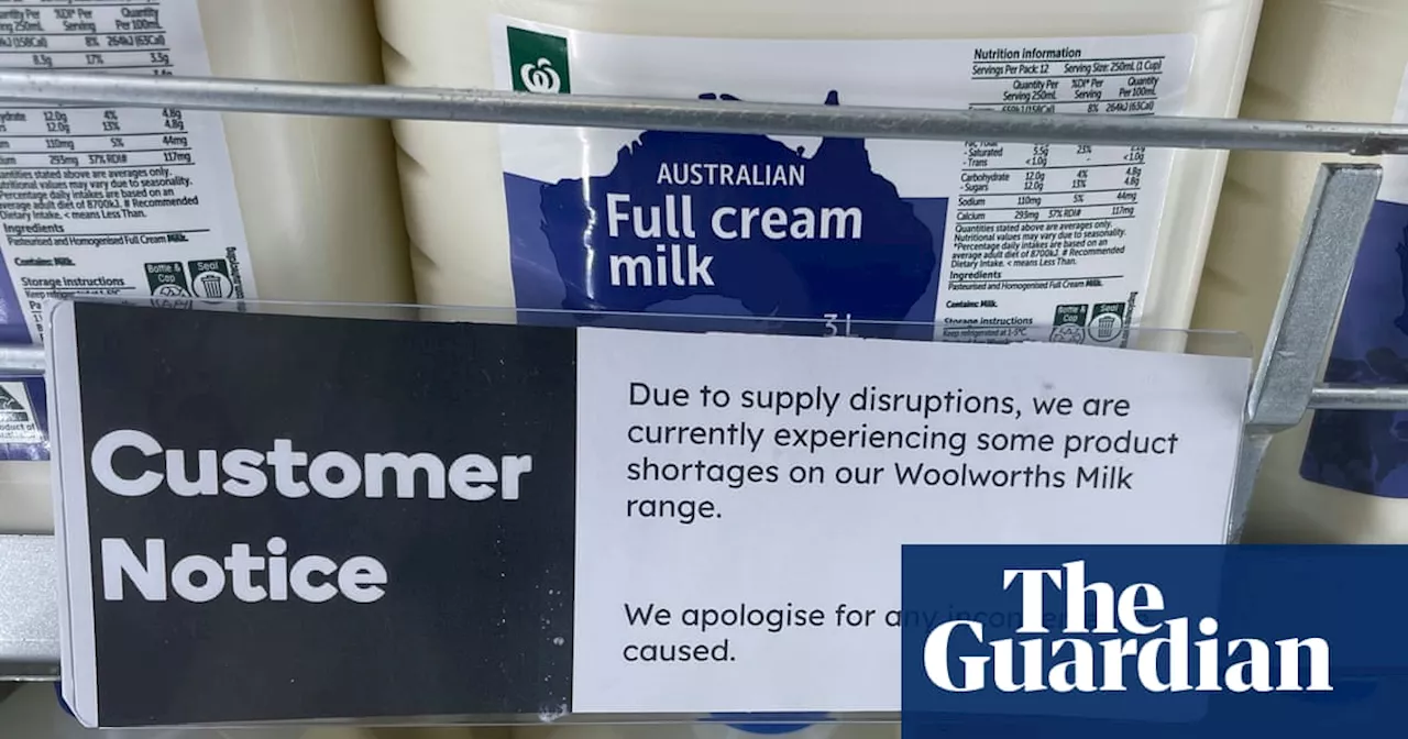 Woolworths working on ‘contingency plans’ for milk supply as Victorian dairy workers strike