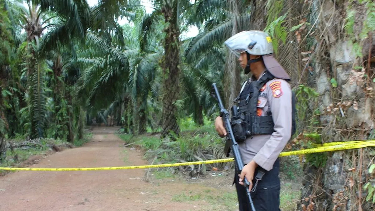 Sama-sama Jadi Arang Dibakar Konflik di Kebun Sawit Seruyan