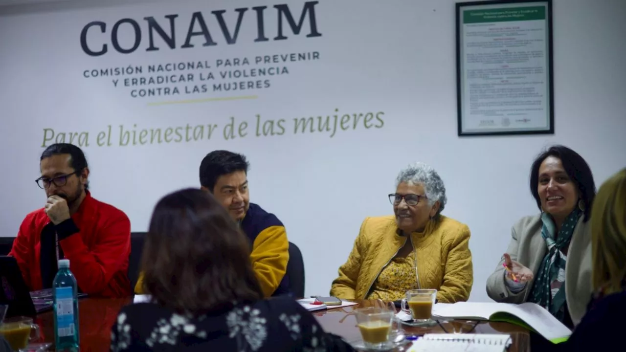 Conavim: &quot;Incrementa la violencia física contra las mujeres de Michoacán&quot;