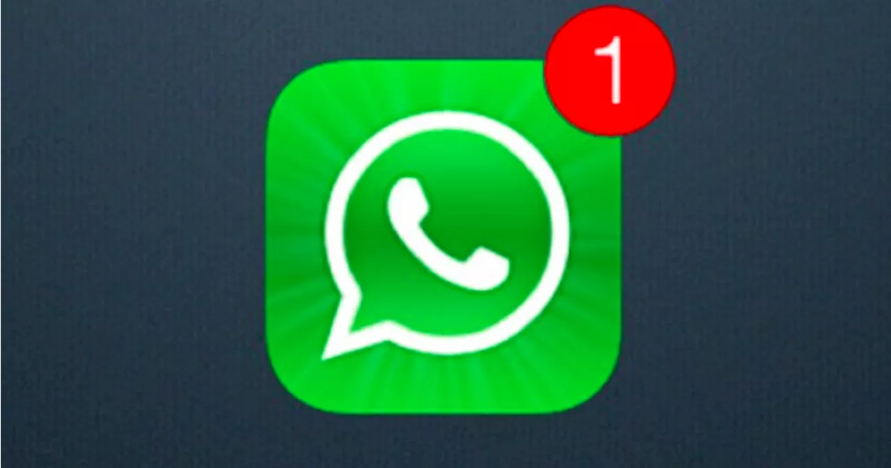 Here’s How To Find Your WhatsApp Best Friend